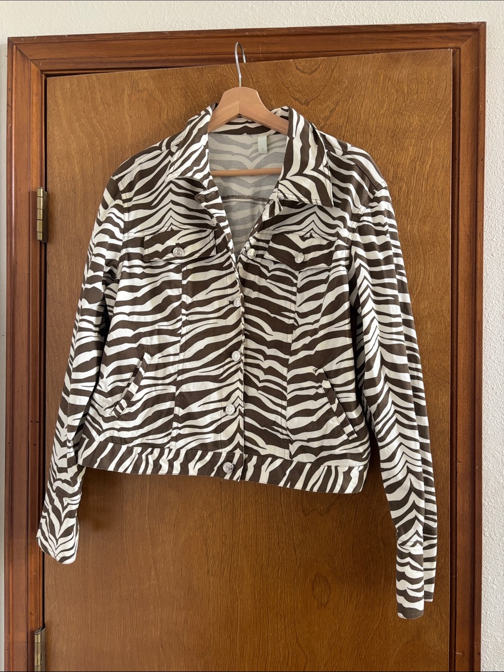 Zebra print jacket